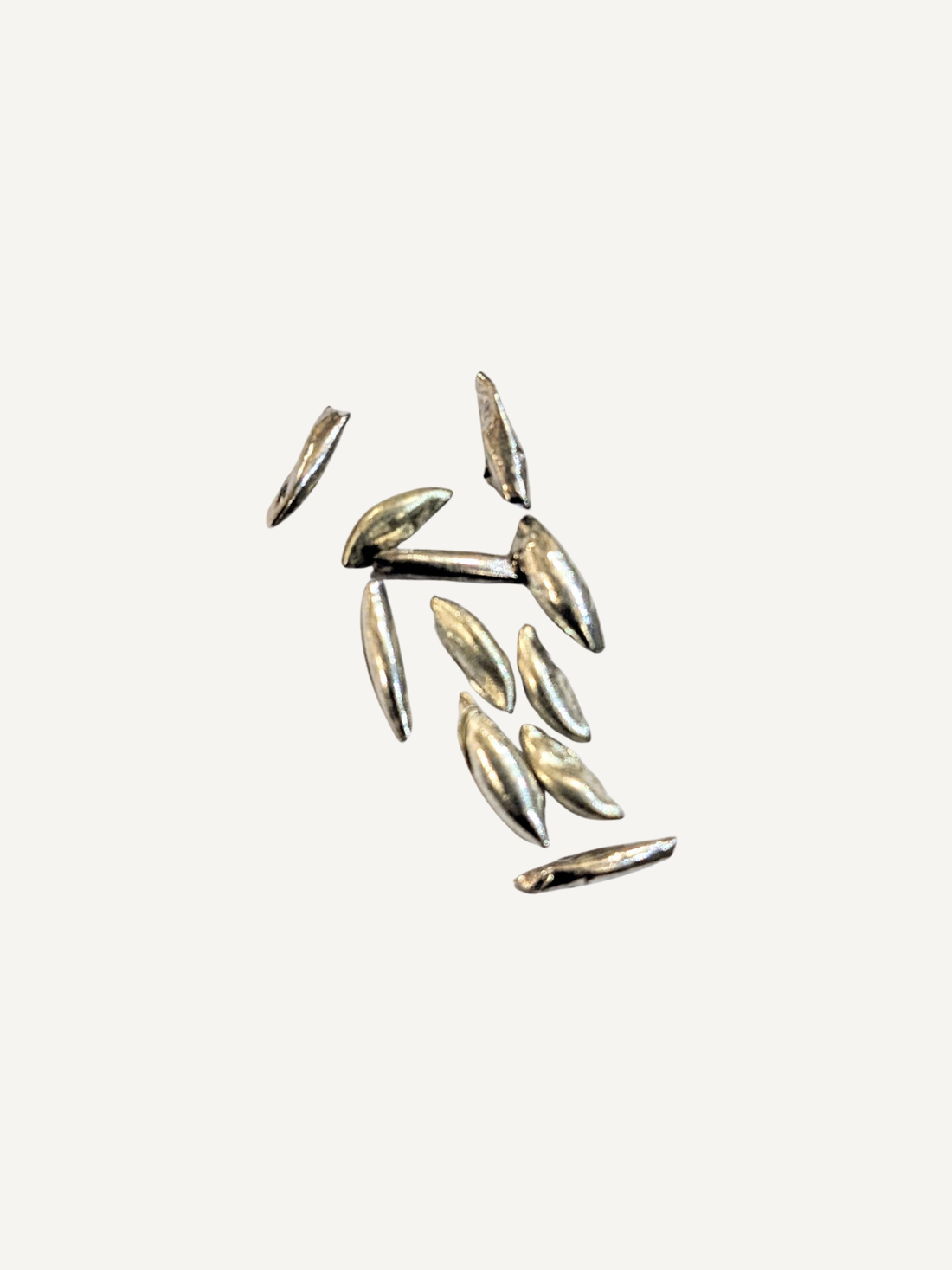 Silver Akshda